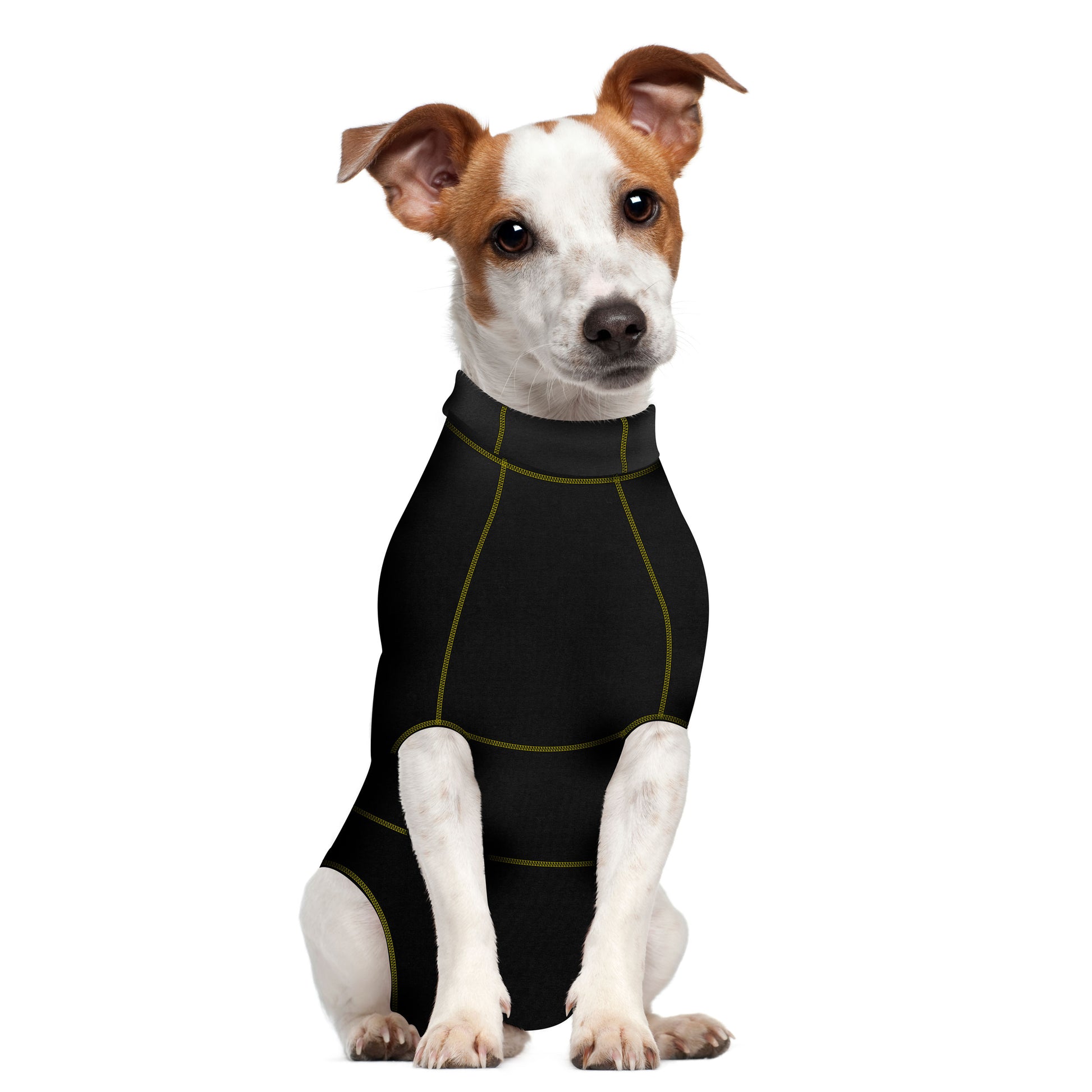 A dog wearing a black MediPaw: Protective/Surgical Dog Suit by Your Whole Dog sitting on a white background in Australia.
