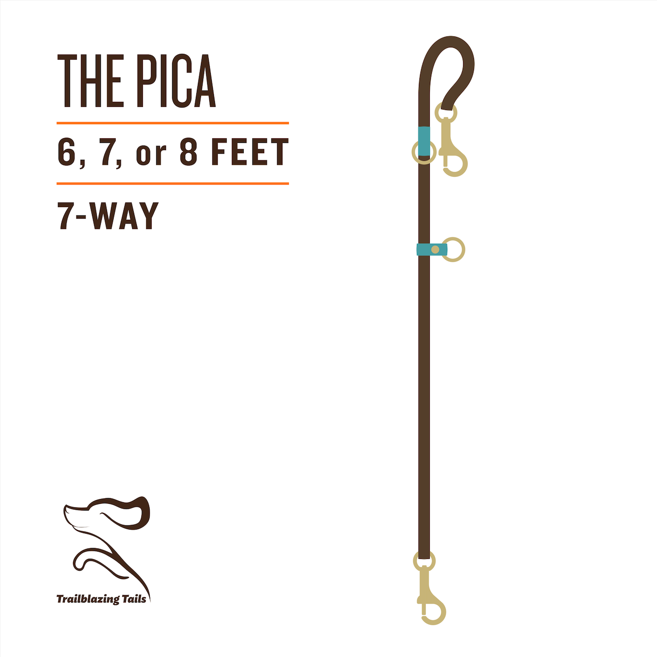 The Trailblazing Tails: The Pica dog leash from Your Whole Dog is a hands-free way to walk your furry friend.