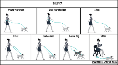 Learn how to teach your dog to walk on the Trailblazing Tails: The Pica hands-free leash by Your Whole Dog.