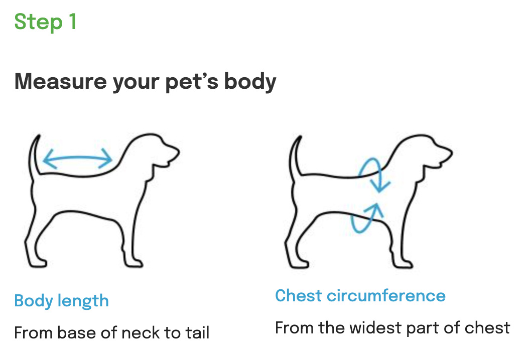 How to measure your dog's body for Your Whole Dog MediPaw Protective/Surgical Dog Suit in Australia.