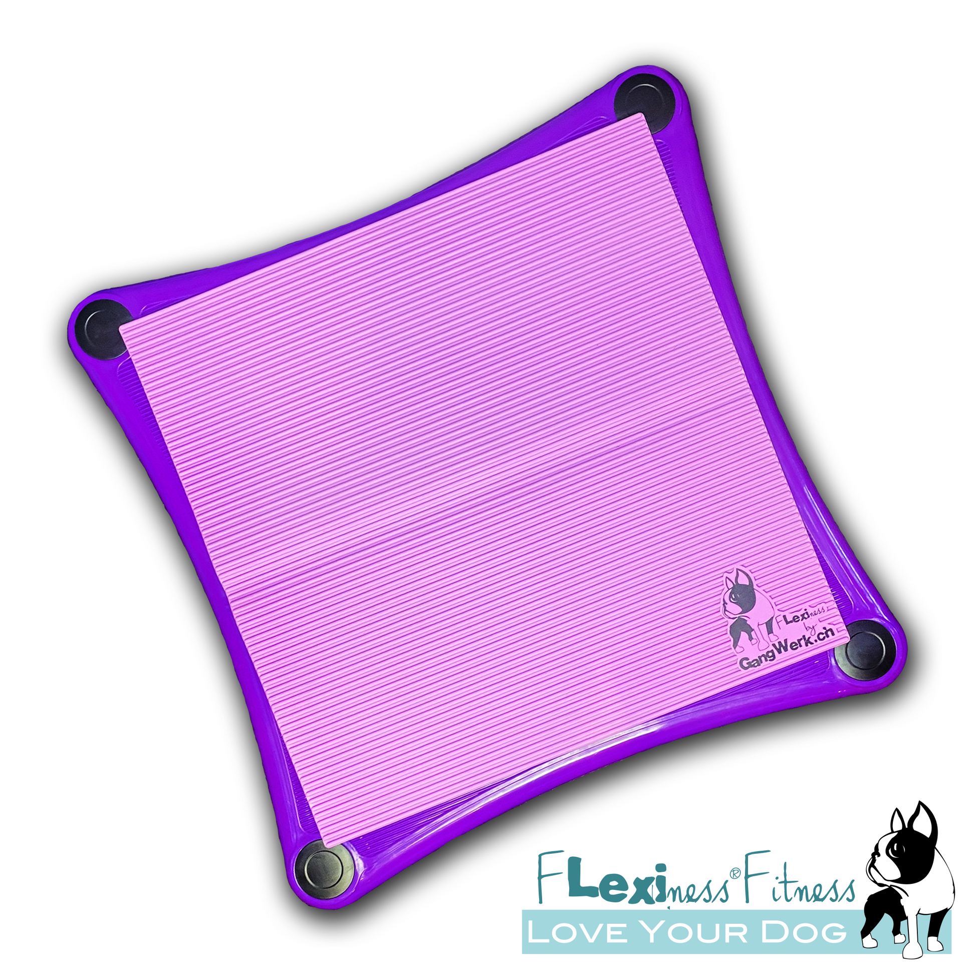 The Flexiness SensiMat - V4-Square by Your Whole Dog features a purple square fitness mat with black rounded corner supports and a logo showcasing a dog silhouette. The text on the mat reads "Flexiness Fitness" and "Love Your Dog." Designed for tactile stimulation, these non-slip mats provide stability for dog paws during exercises.