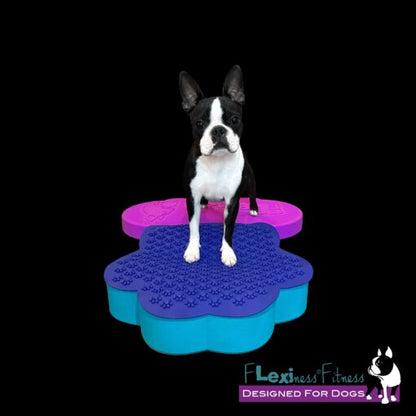 A Boston terrier standing on top of Your Whole Dog's Flexiness SensiMat - V5-Paw.