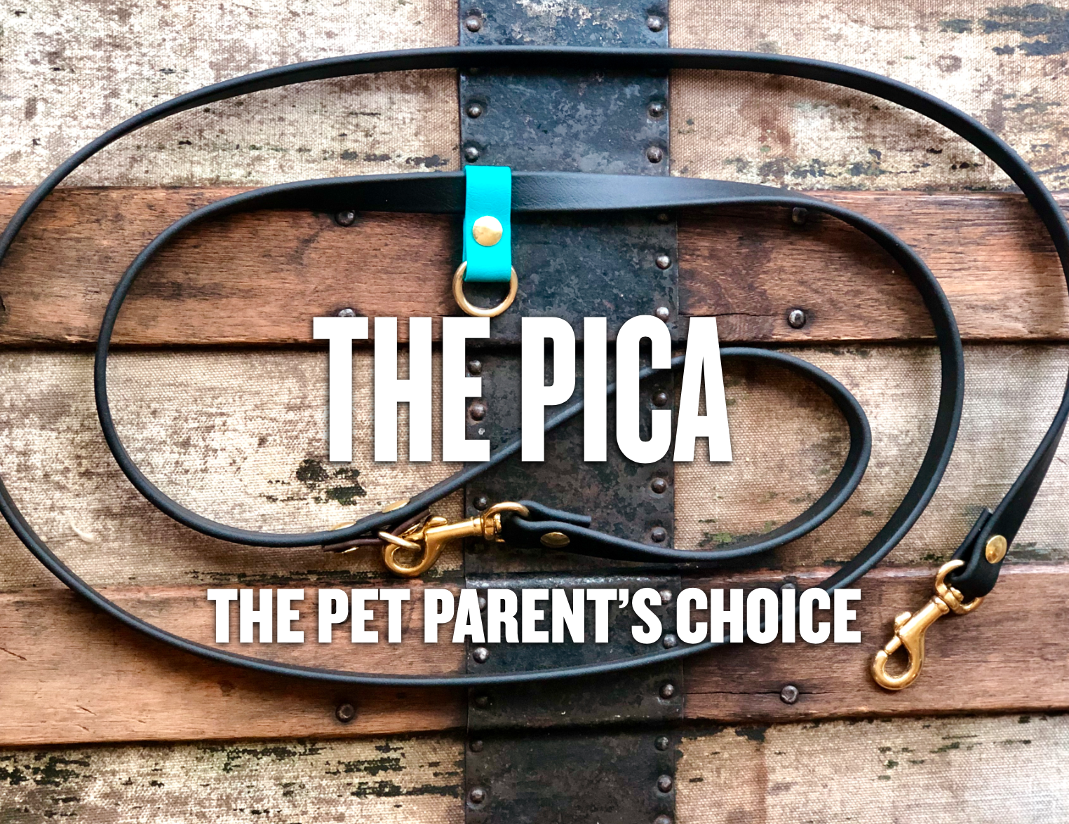 The Trailblazing Tails: The Pica, Your Whole Dog's recommended dog leash.