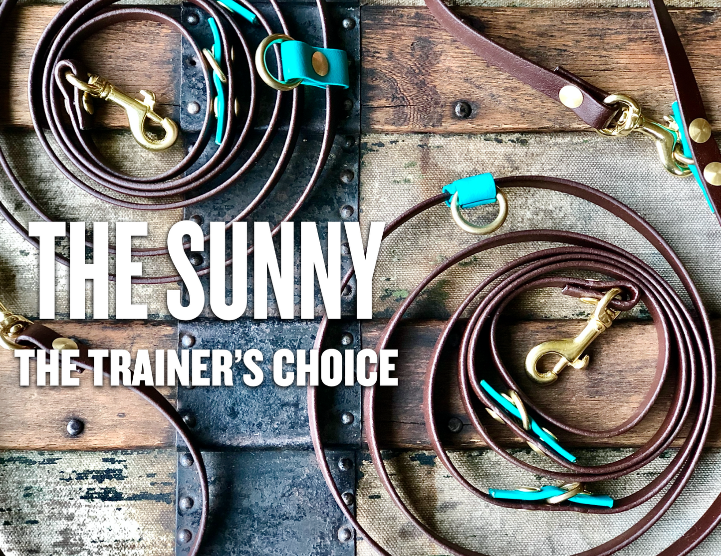 The Trailblazing Tails: The Sunny dog leash is Your Whole Dog's choice.