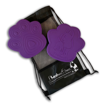 A set of two Flexiness ToyPawDiscs in a bag, from Your Whole Dog.