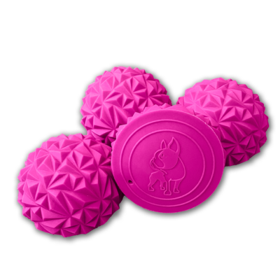 Four bright pink Flexiness ToyPawStackers by Flexiness Canine Fitness Equipment—three spheres with geometric patterns and one flat disc with an embossed dog outline—all crafted from anti-slip material, ideal for advanced dogs' next challenge.