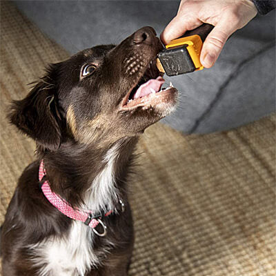 Train'N'Treat Dog Treat Dispenser
