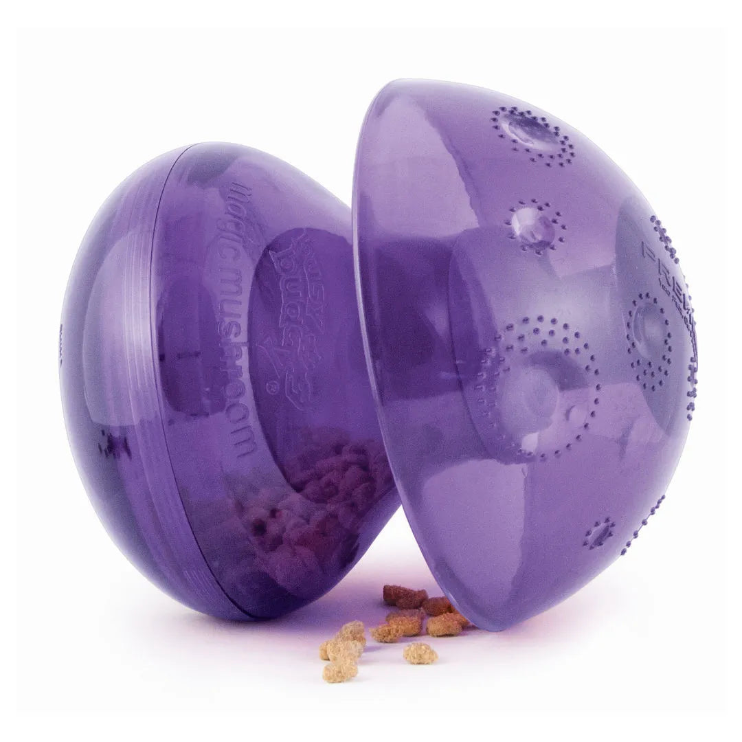 A purple plastic container holding CLEARANCE: Busy Buddy Magic Mushroom - SMALL peanuts, perfect for treats or slow feeding, by Your Whole Dog.