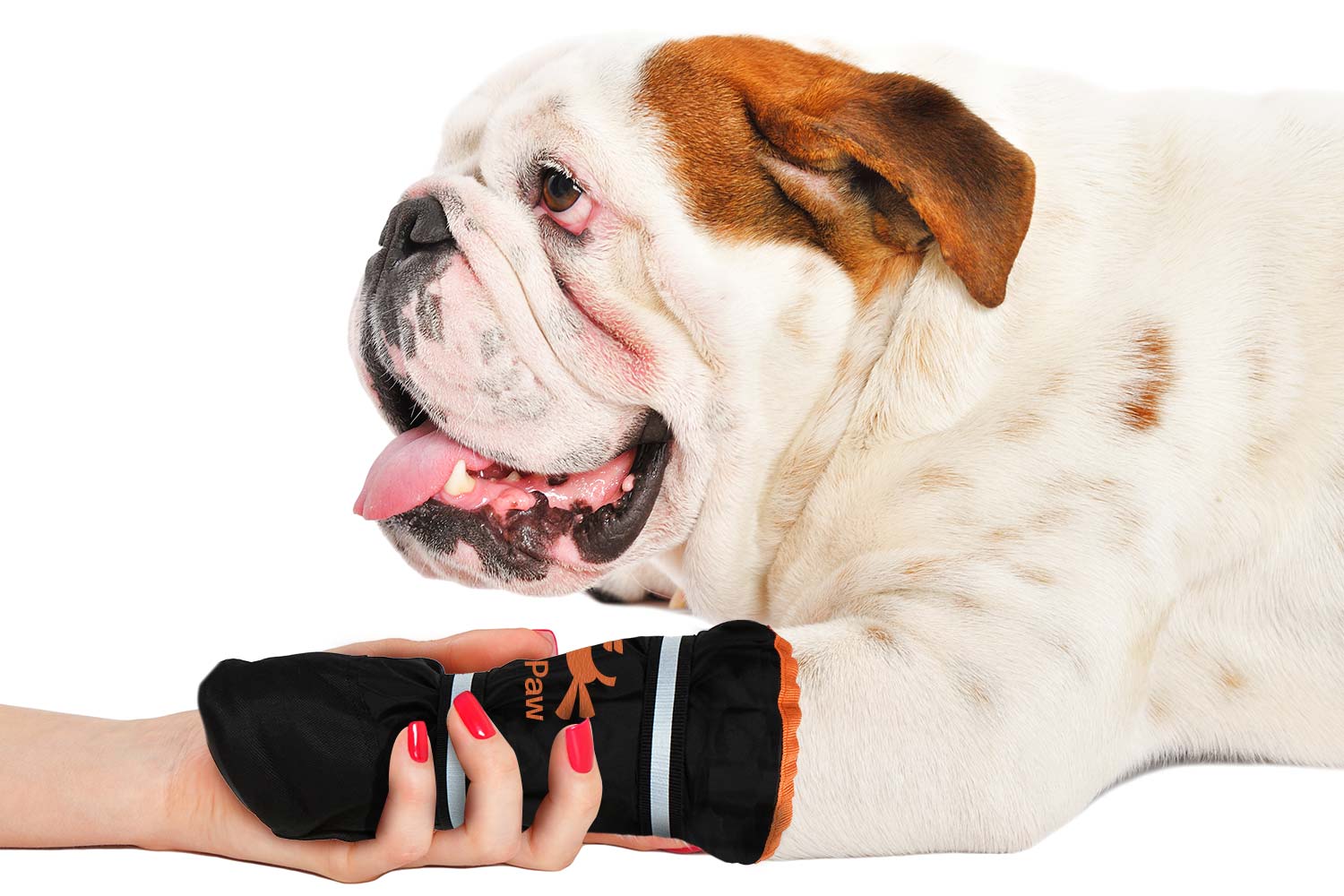 Dog paw bandage top protector