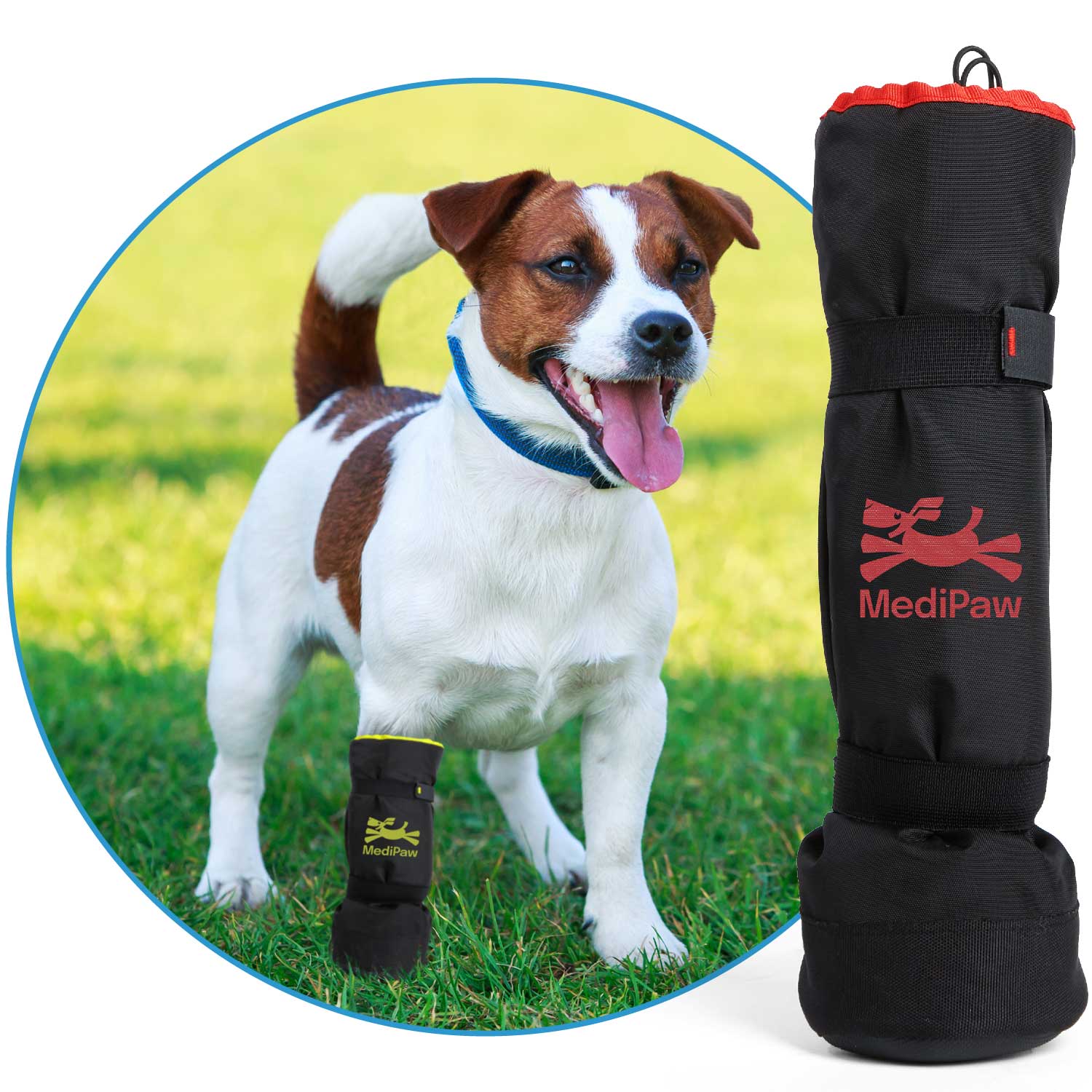 Dog paw hotsell wound protection